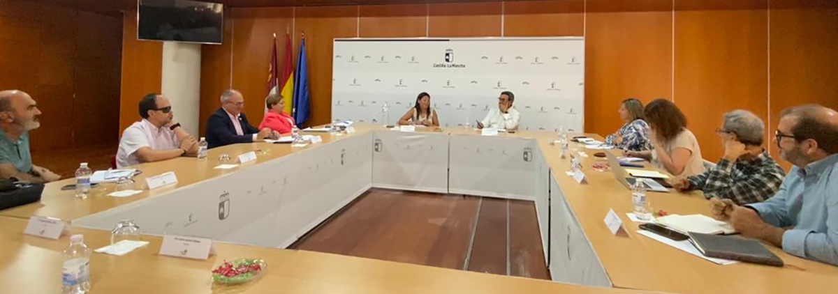 Reunión de la Mesa del Tercer Sector con la conserjería de Bienestar Social de Castilla-La Mancha