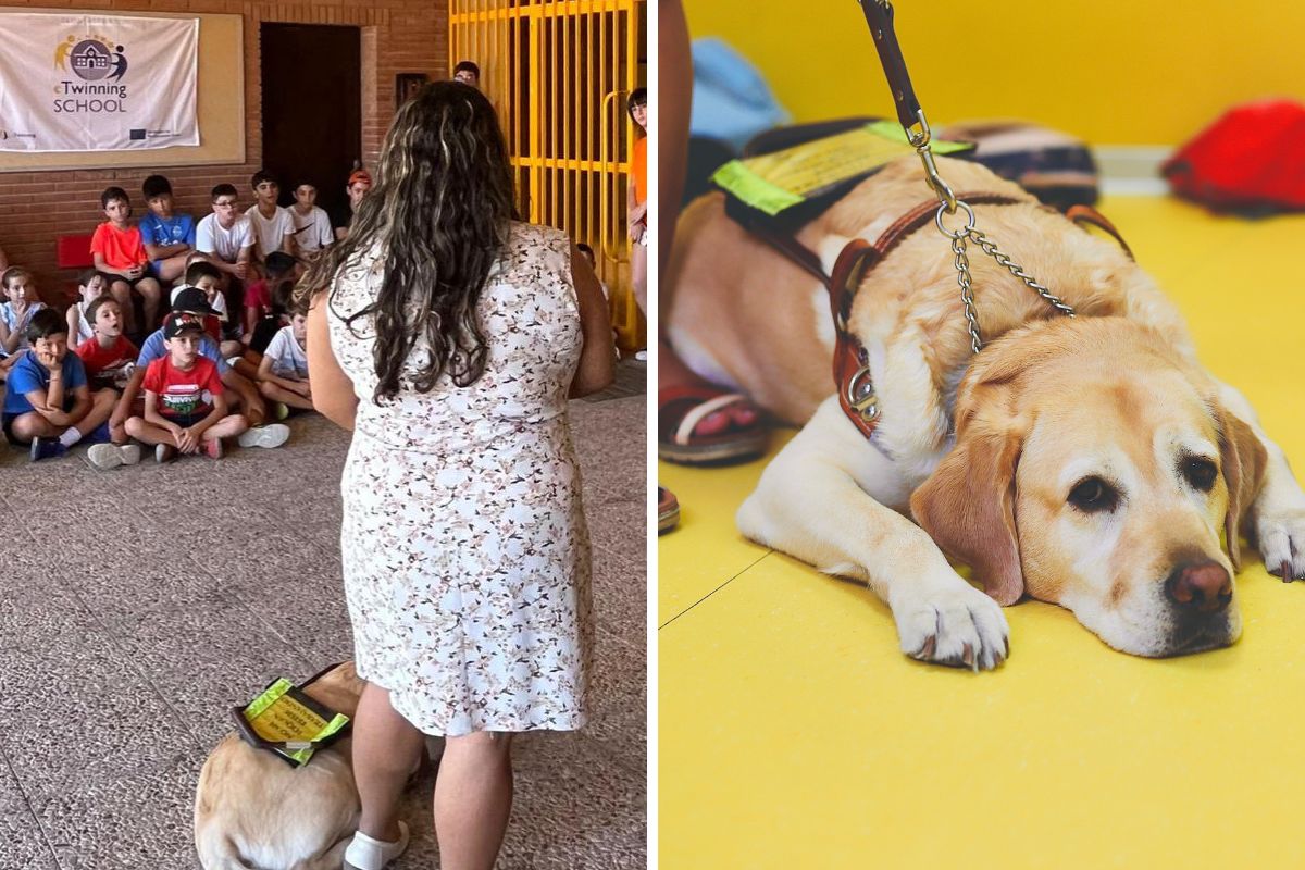 Taller de sensibilización con la discapacidad visual donde una persona con discapacidad visual junto a su perro guía explica a los participantes sobre los perros guía