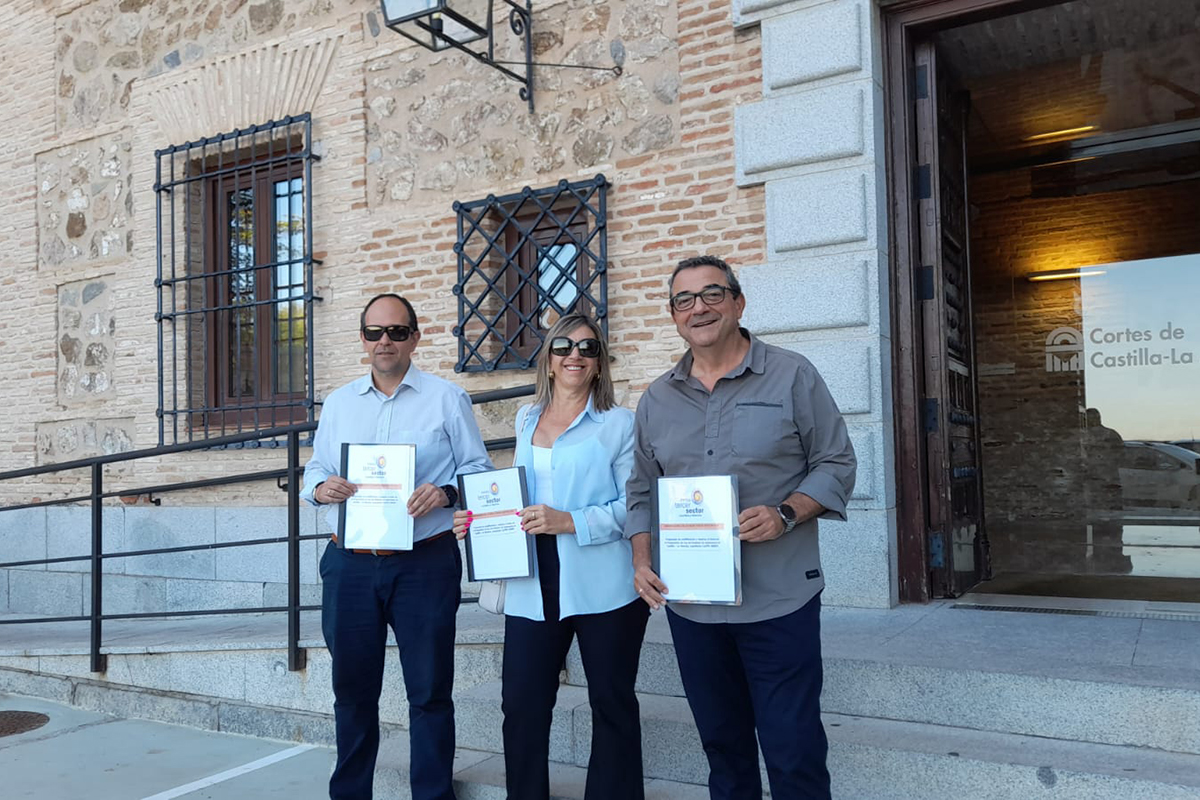 Miembros de la Mesa del Tercer Sector frente a las Cortes de Castilla-La Mancha con las alegaciones presentadas