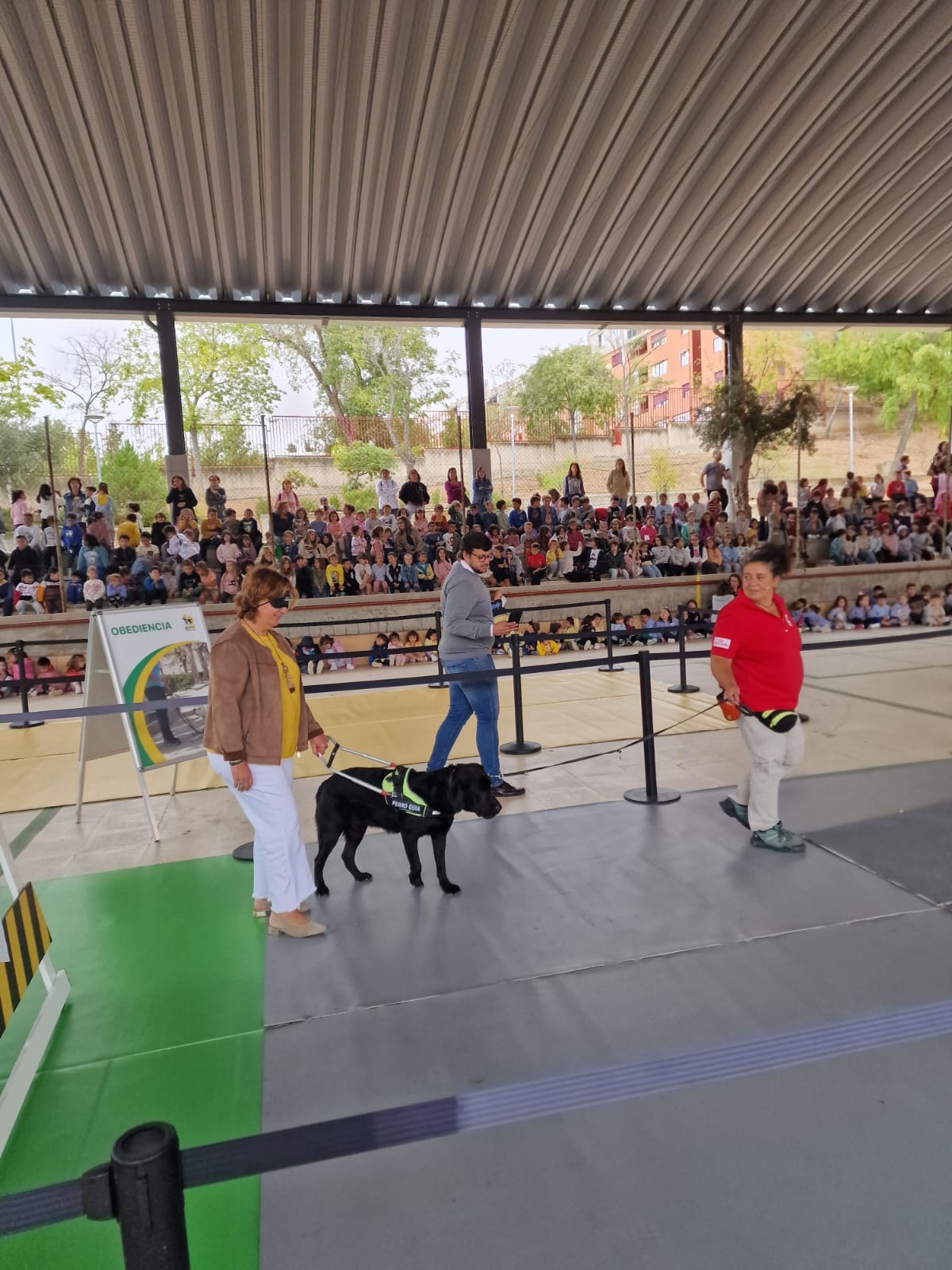 Exhibición de perros guía