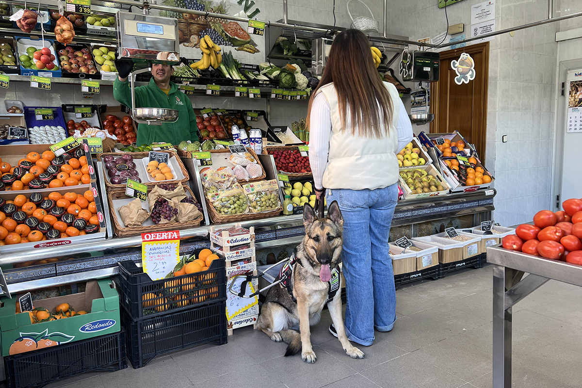 Usuaria perro guía en frutería