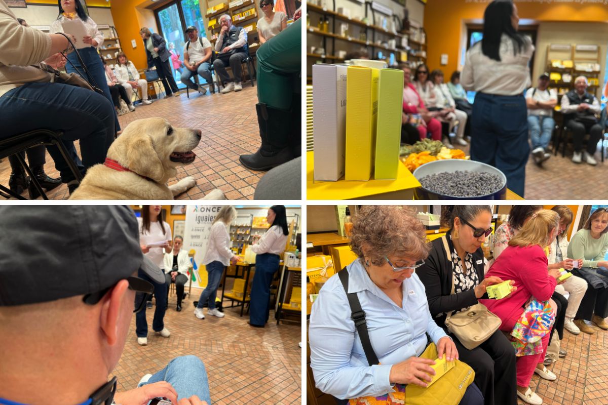 Collage con diferentes momentos del taller el que se ven los packaging en braille y participantes tocándolo