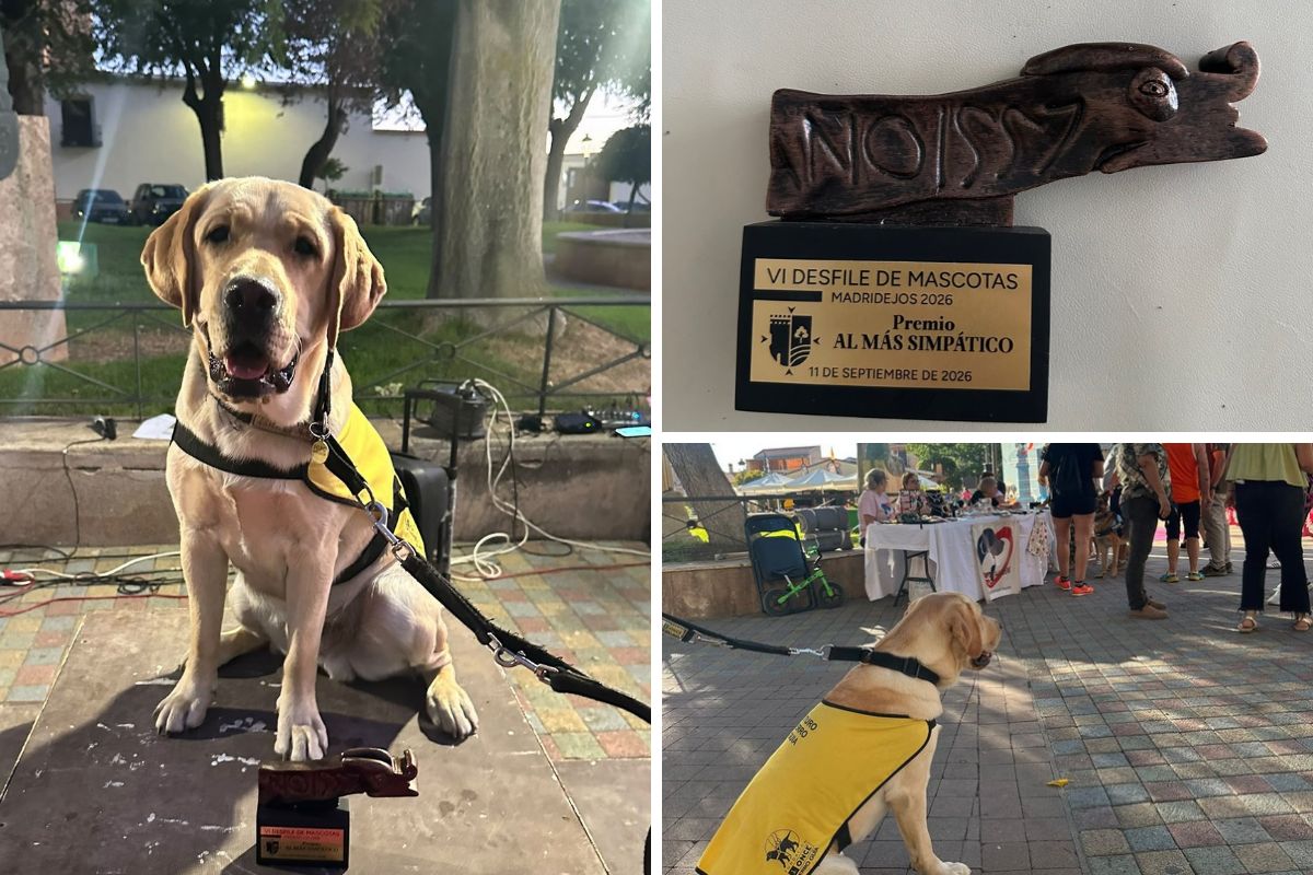 Vilser, un futuro perro guía, con el galardón y un detalle del premio