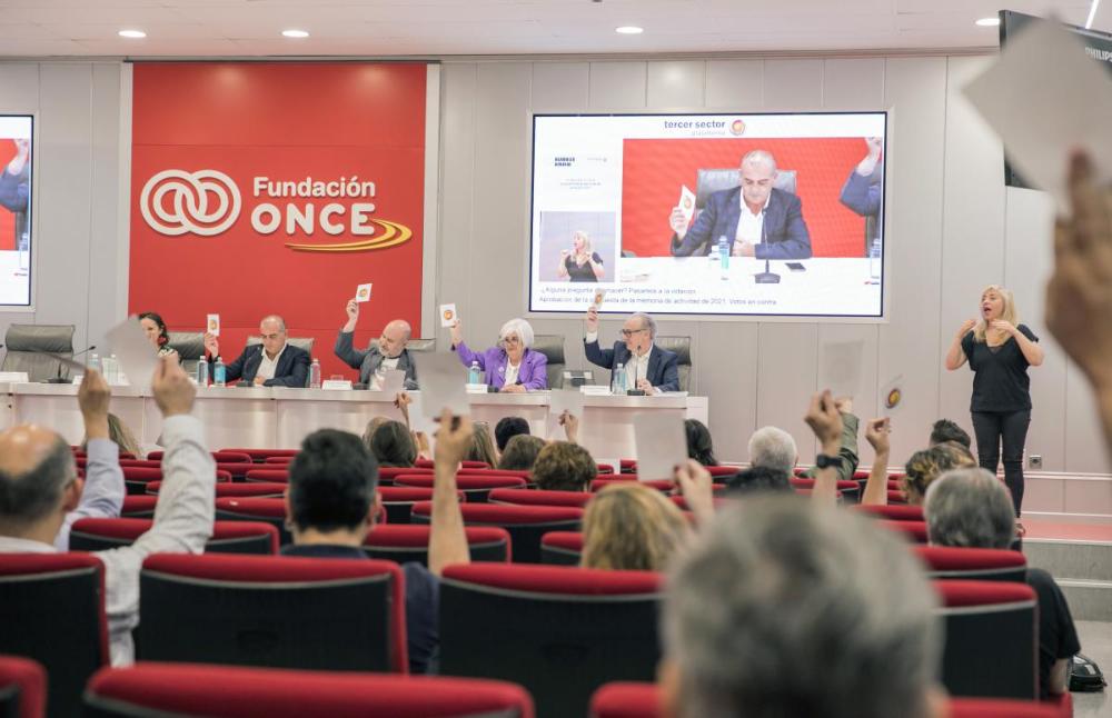 Votación en Asamblea Plataforma Tercer Sector