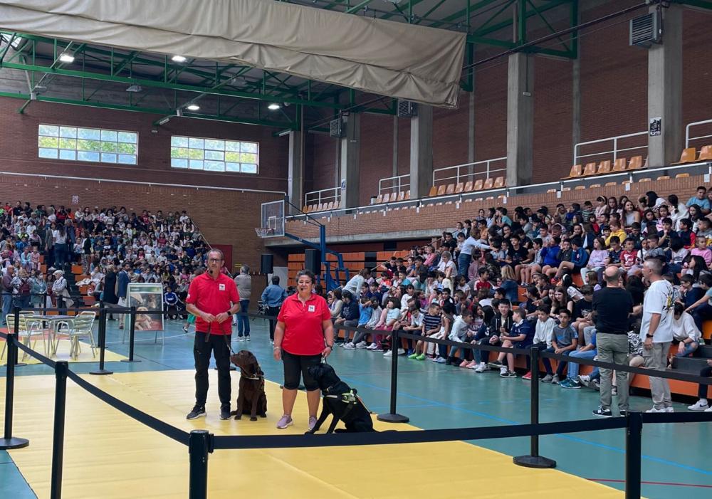 Toby y Zipi junto a los instructores de movilidad con perro guía, Nuria García y Rafael Alameda