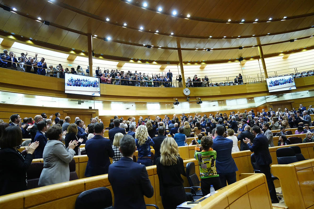 Aplausos tras la aprobación de la reforma del Art. 49 Constitución