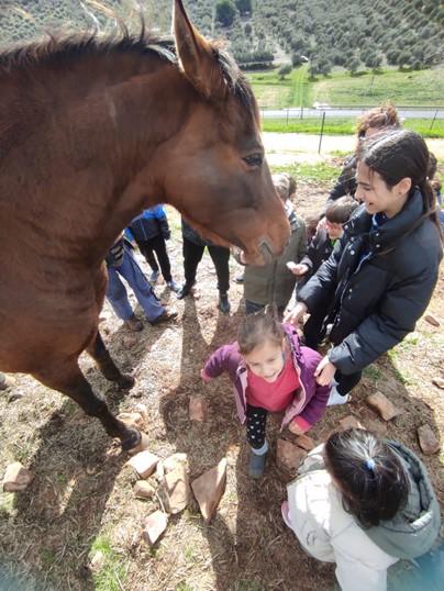 Conociendo al caballo