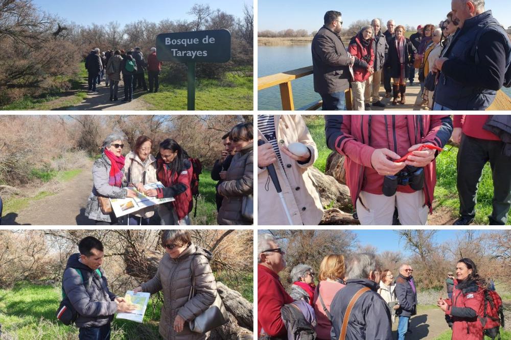 Momentos de la visita: Participantes recorriendo el Parque Nacional, utilizando la guía en relieve y tocando reproducciones de la fauna local