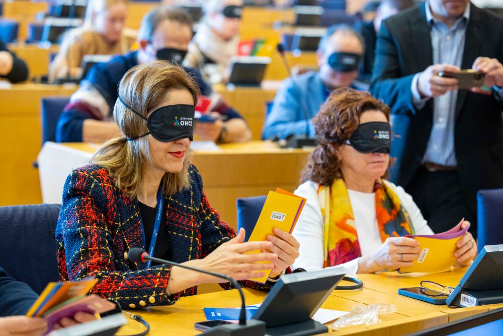 Eurodiputados con el antifaz y con las papeletas