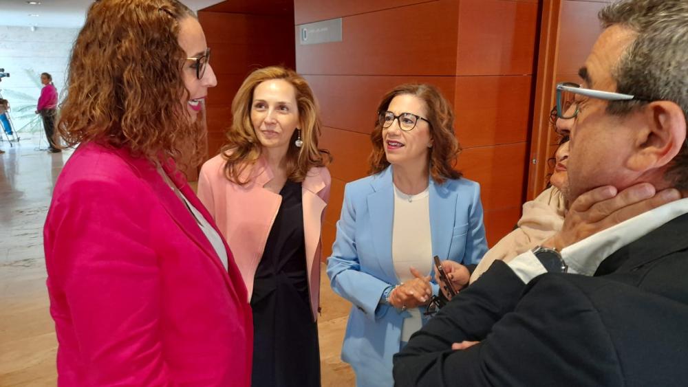 Representantes del CERMI Castilla-La Mancha 