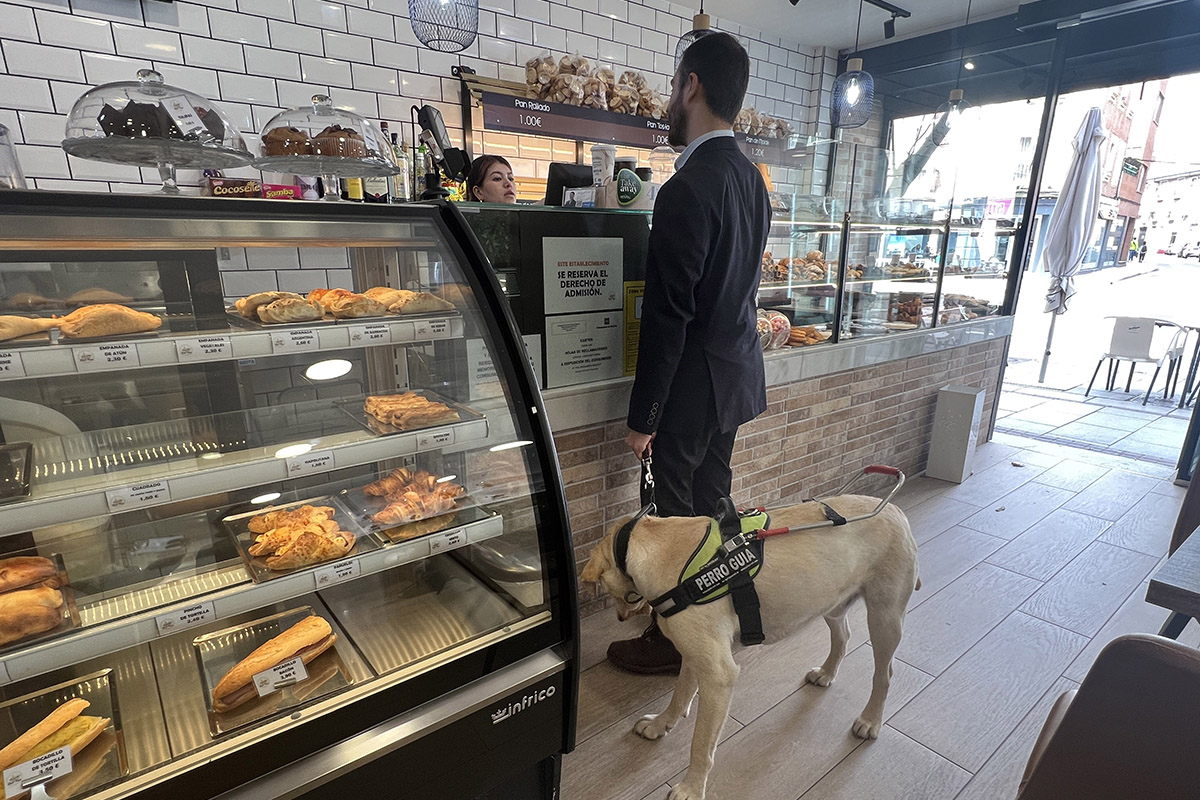Un usuario de perro guía en el mostrador de una cafetería con su perro guía
