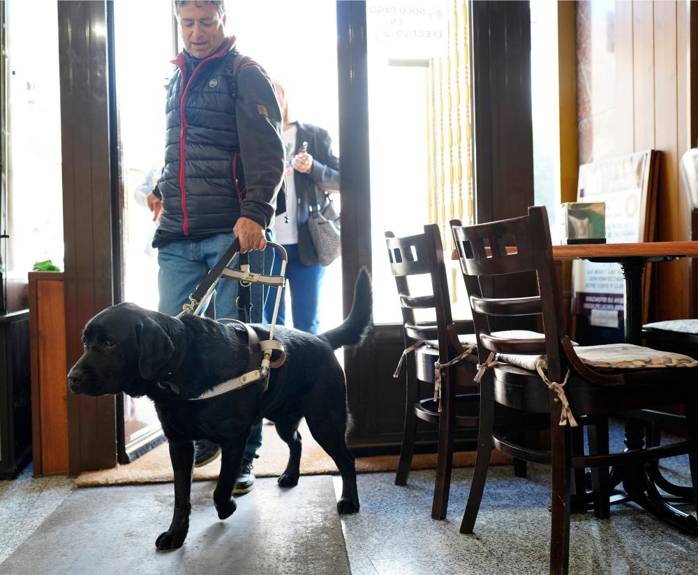 Un usuario de perro guía pasando a un establecimiento