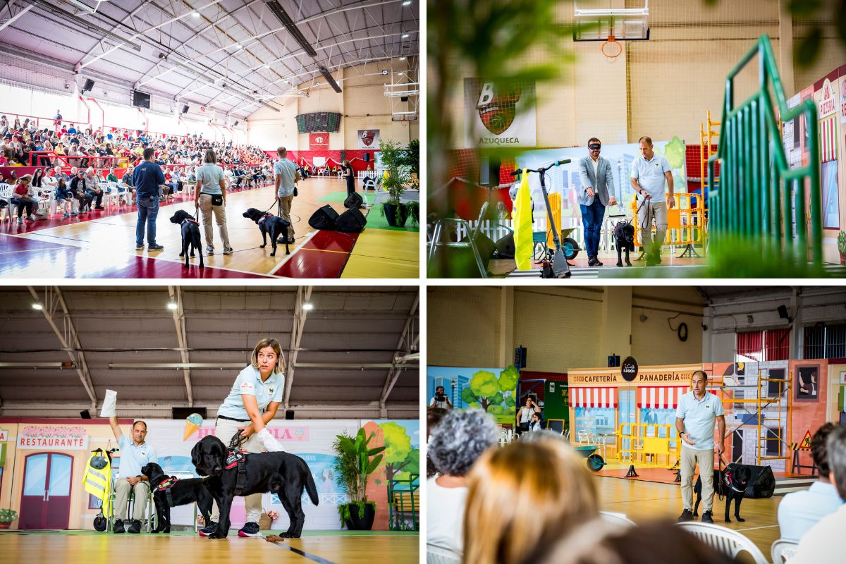 Momentos de la exhibición de perros guía en Azuqueca de Henares