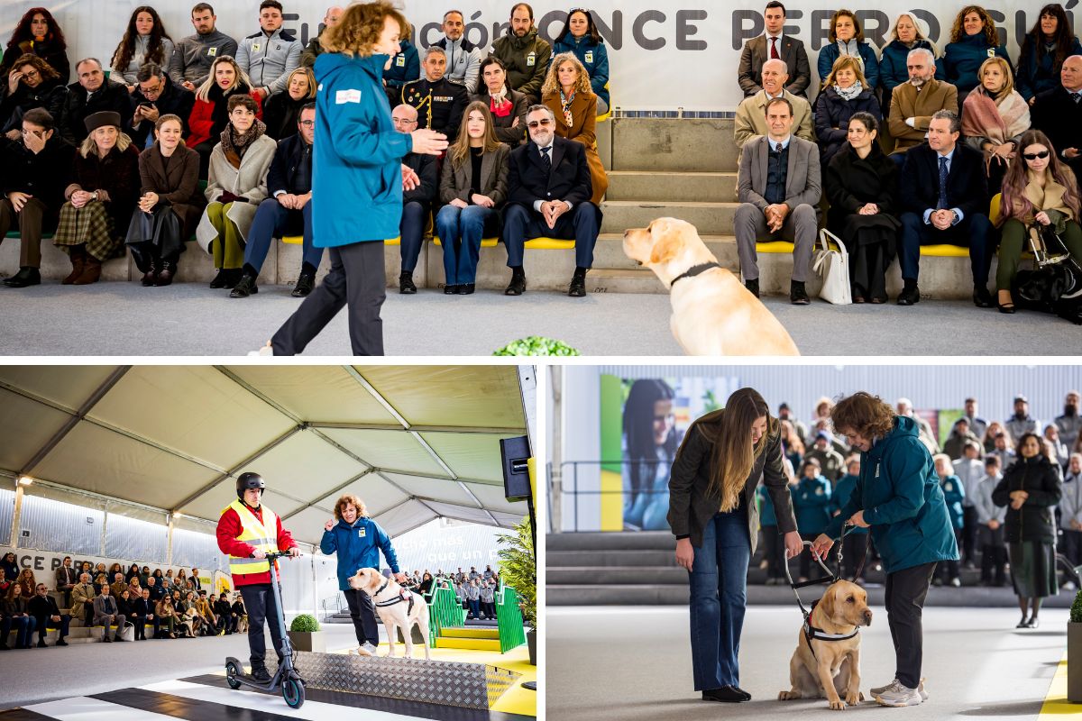 Momentos de la exhibición en los que se ve a la Infanta Sofía cogiendo el arnés del perro guía
