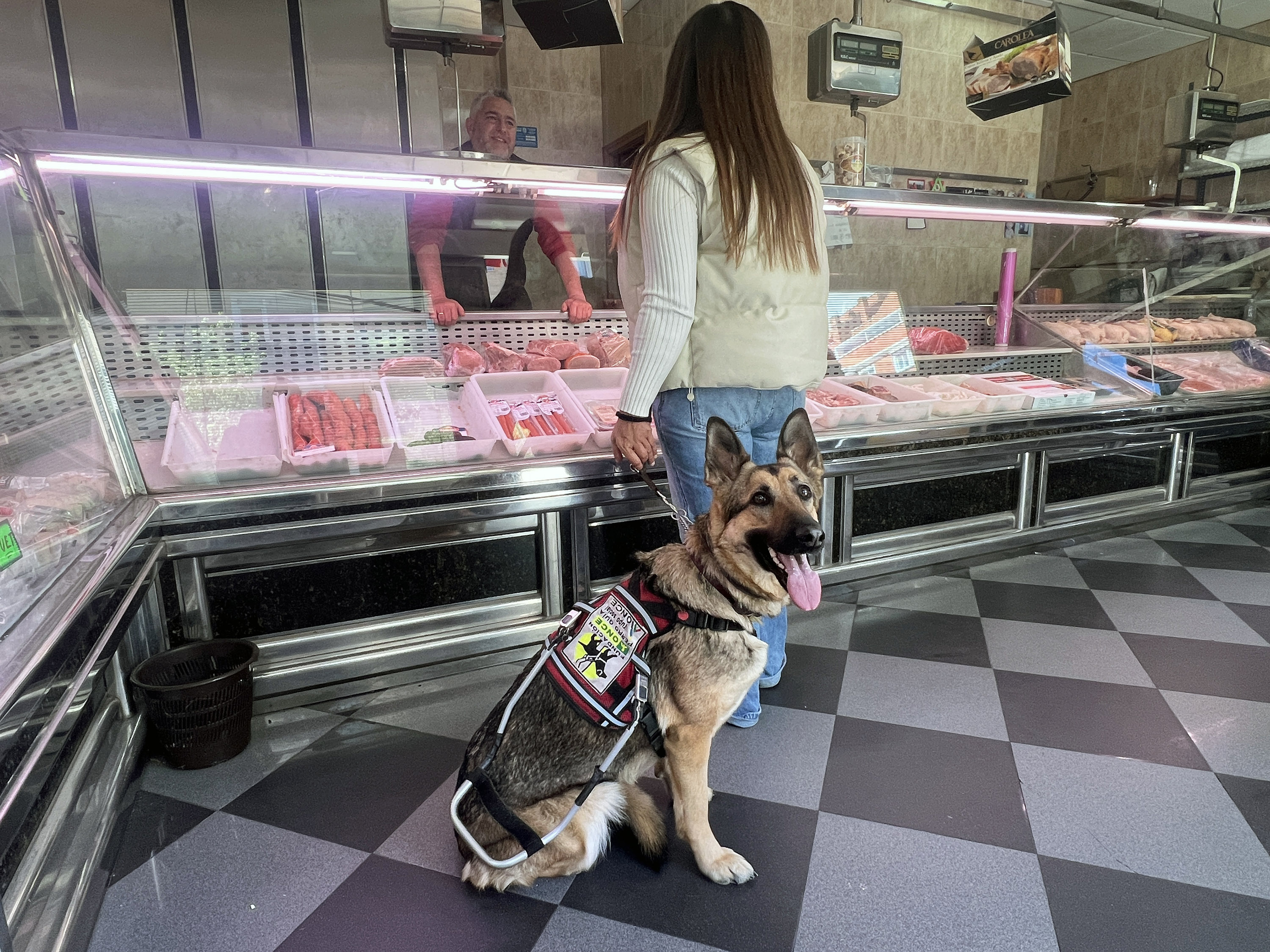 Usuaria perro guía en carnicería
