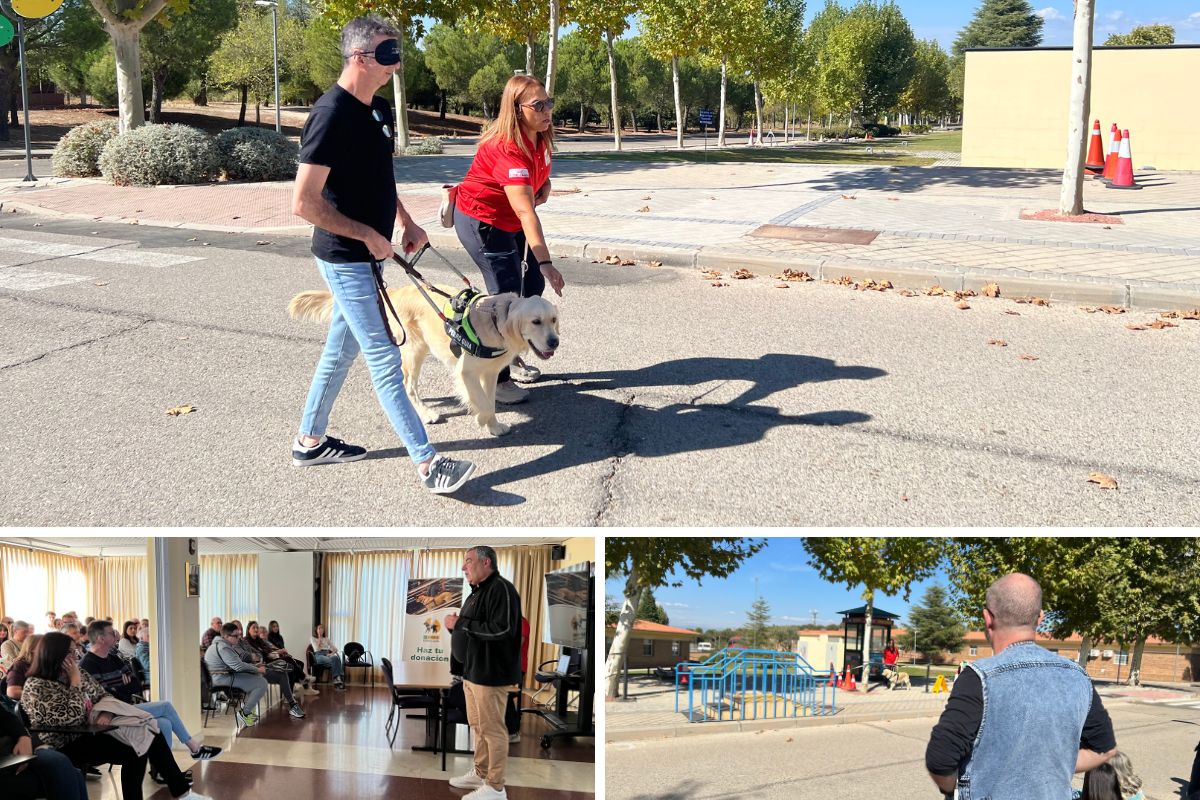 Momentos de la visita. Primer, Mario explicando lo que se hace en la FOPG, y luego, Elisenda haciendo una exhibición con Irai